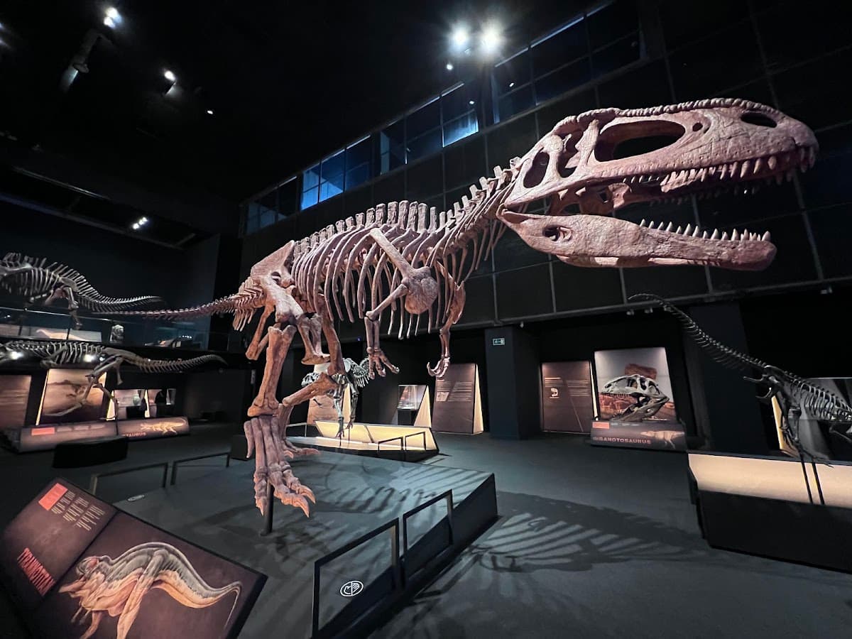 CosmoCaixa Museum of Science thumbnail 3