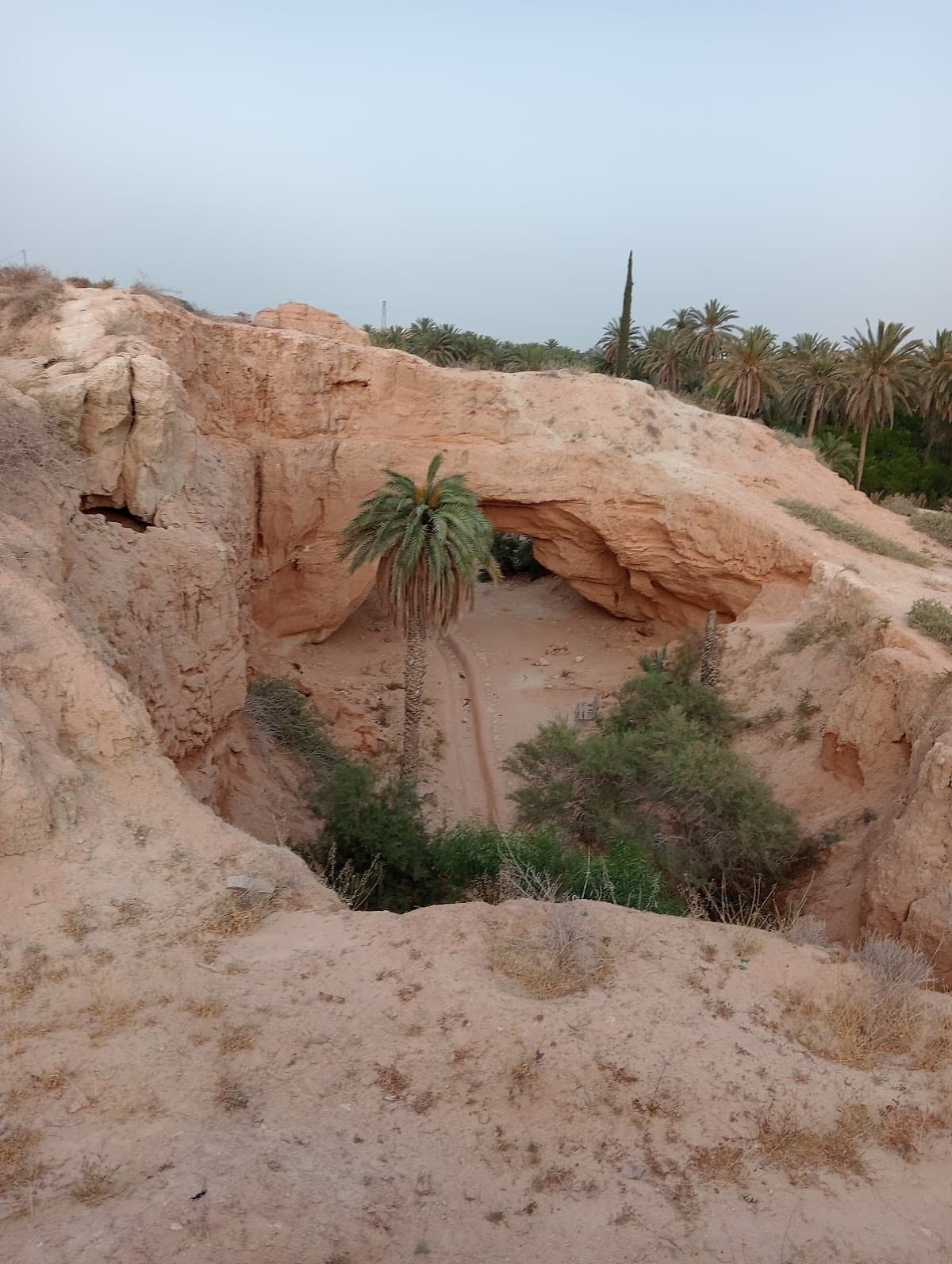 Ras El Oueed thumbnail 2