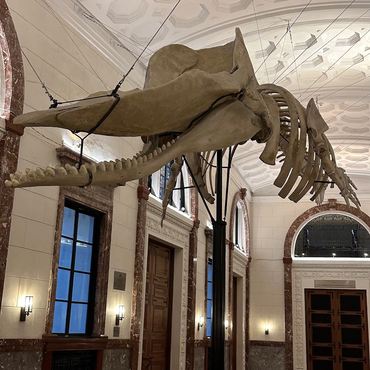National Museum of Natural History thumbnail 3