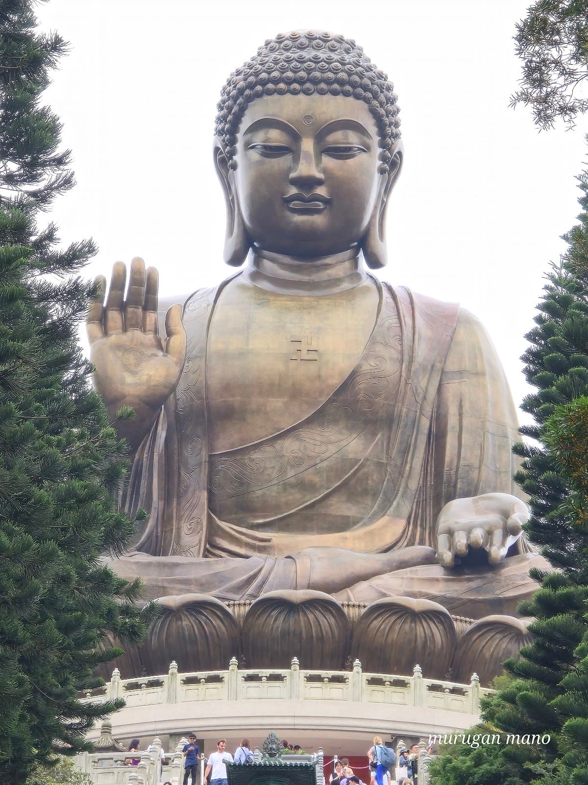 Hong Kong One Day Trip