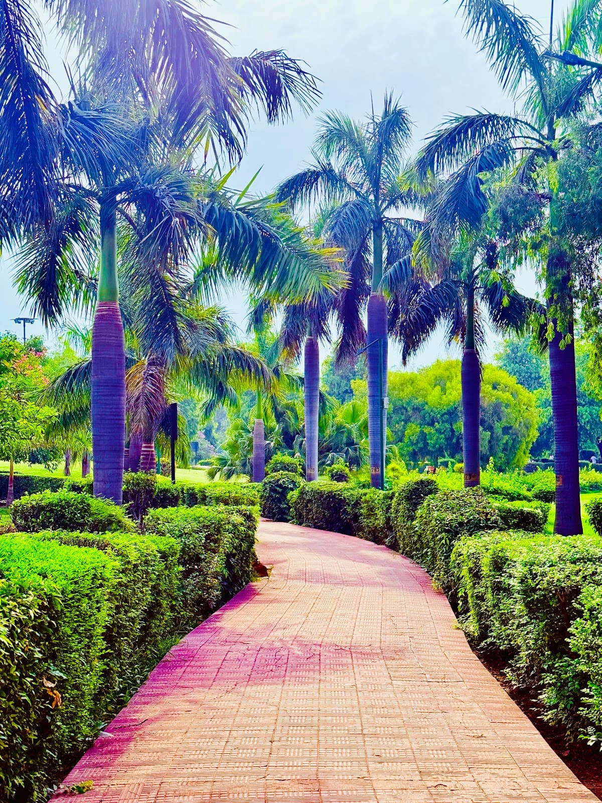 Japanese Park : Swarn Jayanti Park