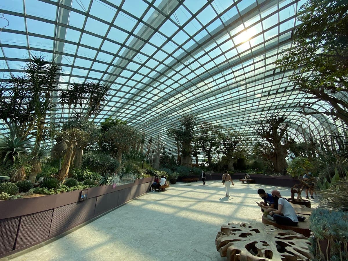Flower Dome thumbnail 2