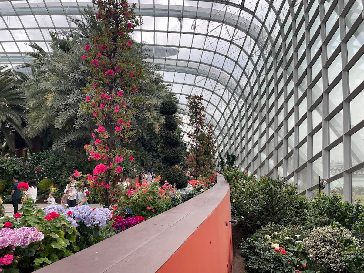Flower Dome thumbnail 3