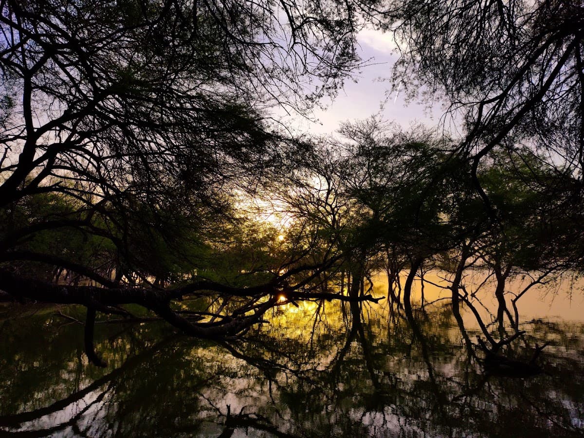 Thol Bird Sanctuary thumbnail 2