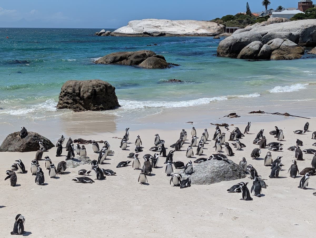 Boulders Beach thumbnail 2