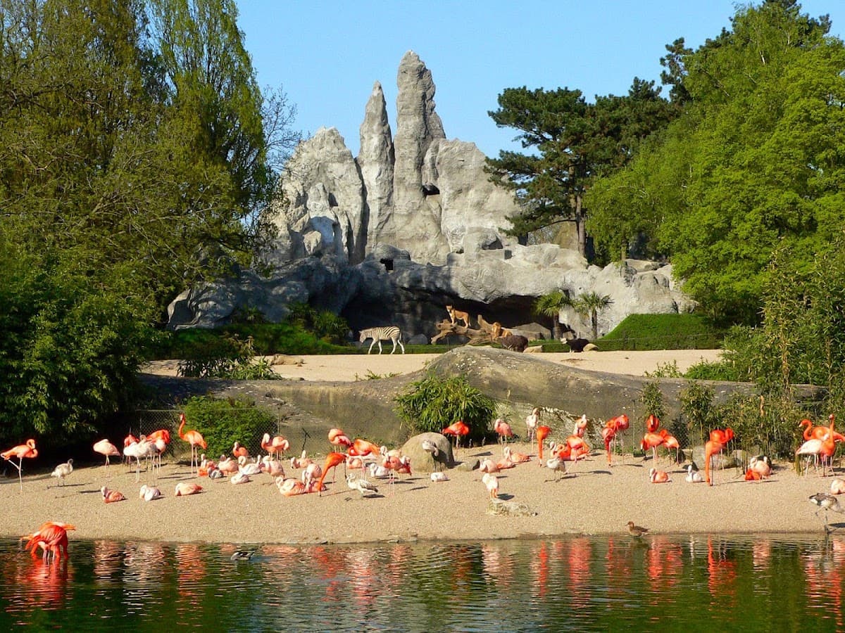 Hagenbeck Zoo 1