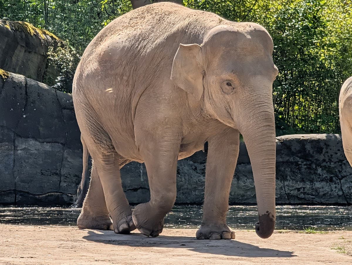 Hagenbeck Zoo thumbnail 2