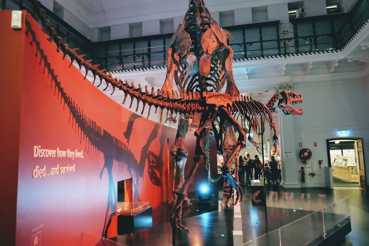 Australian Museum photo 1