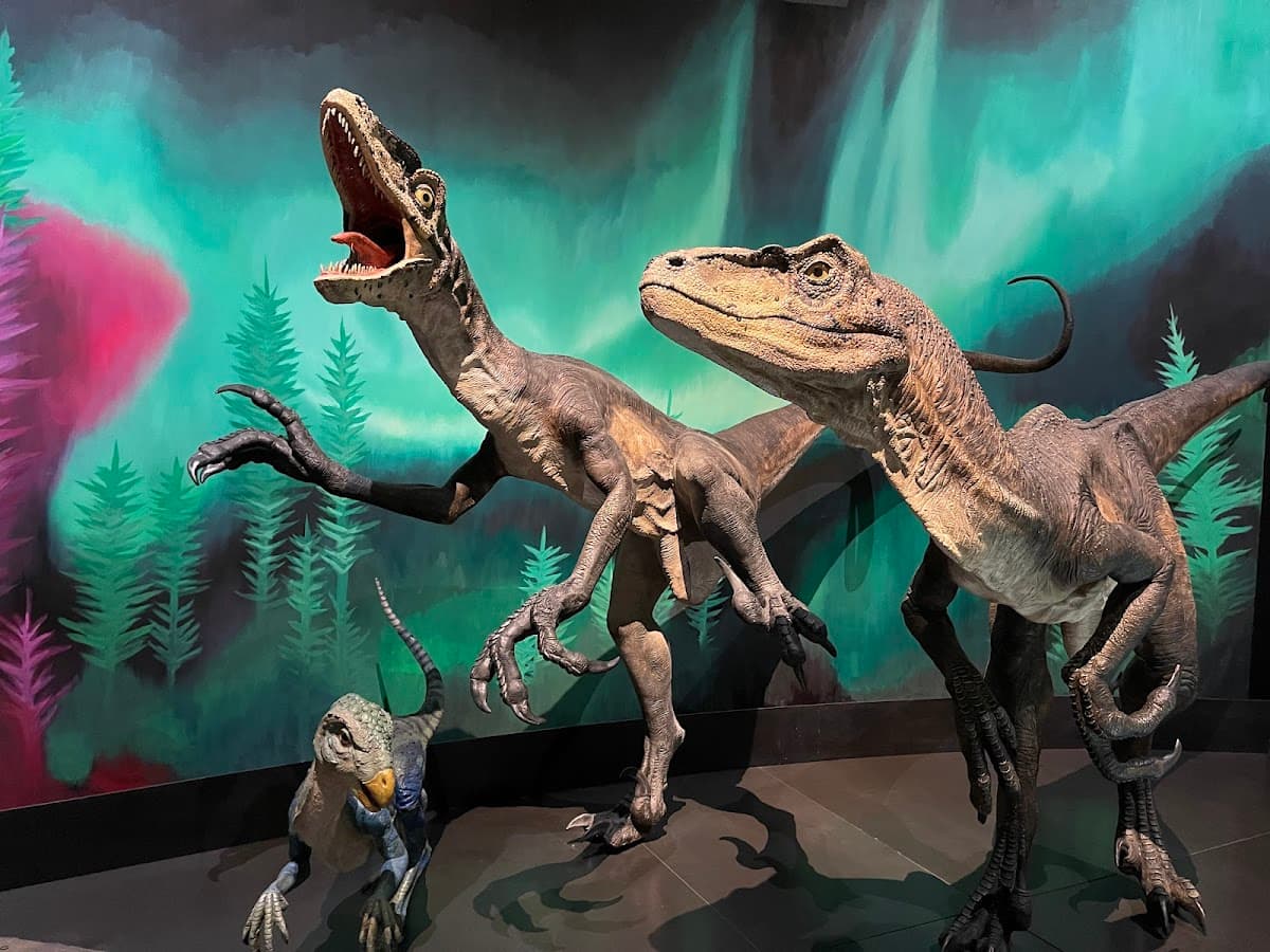 Australian Museum thumbnail 3