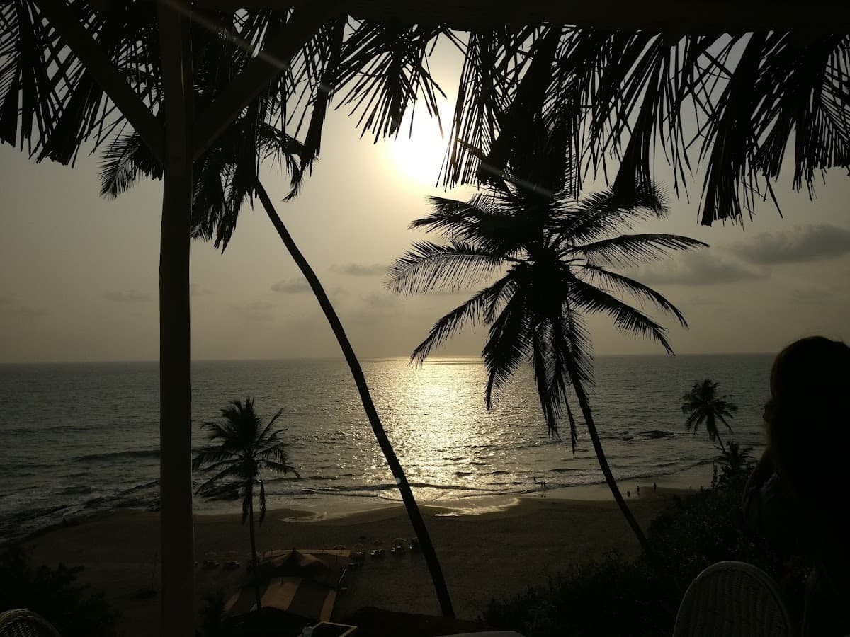 Thalassa thumbnail 3