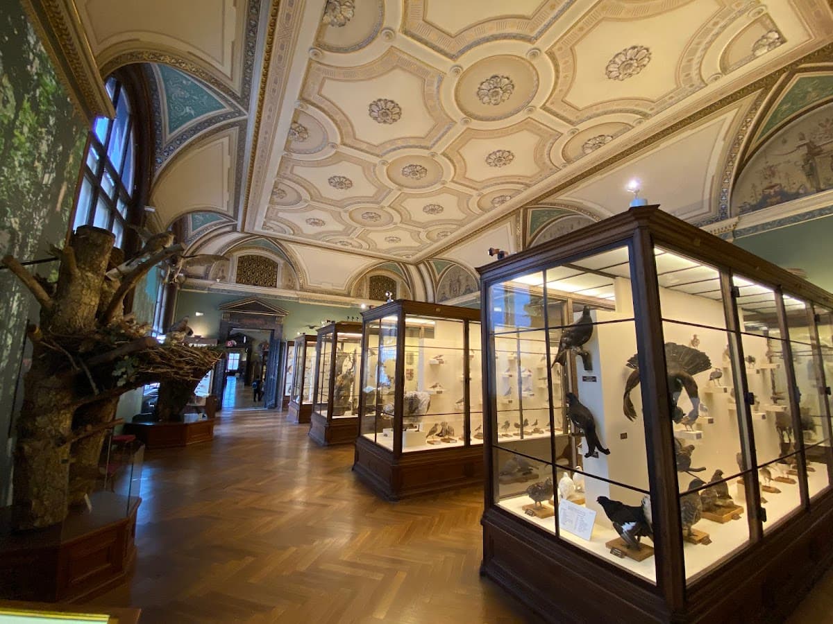 Museum of Natural History Vienna thumbnail 2