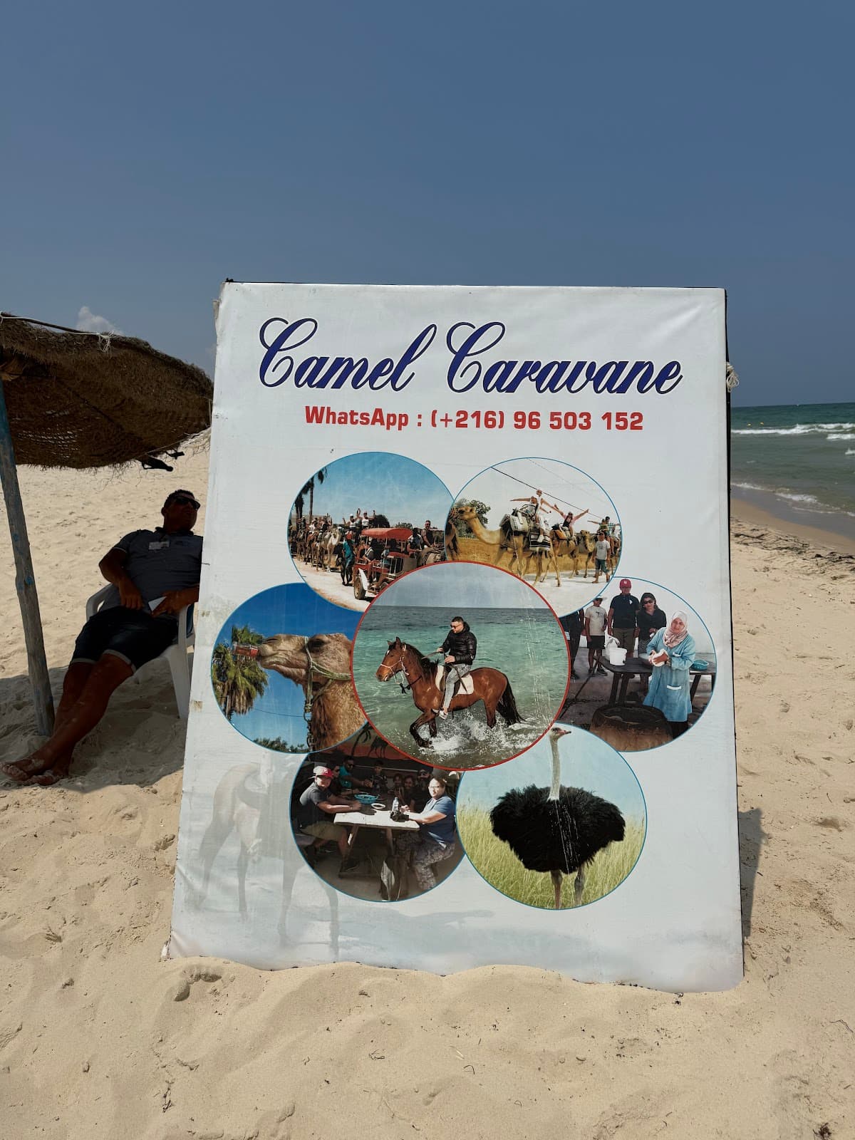 Local Excursions - Quadas, Camel trips, beach activities, half day / full day trips. thumbnail 2
