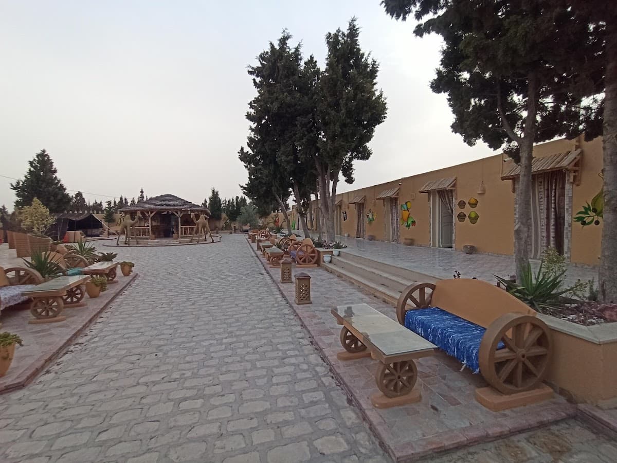 Village Bedouin thumbnail 3