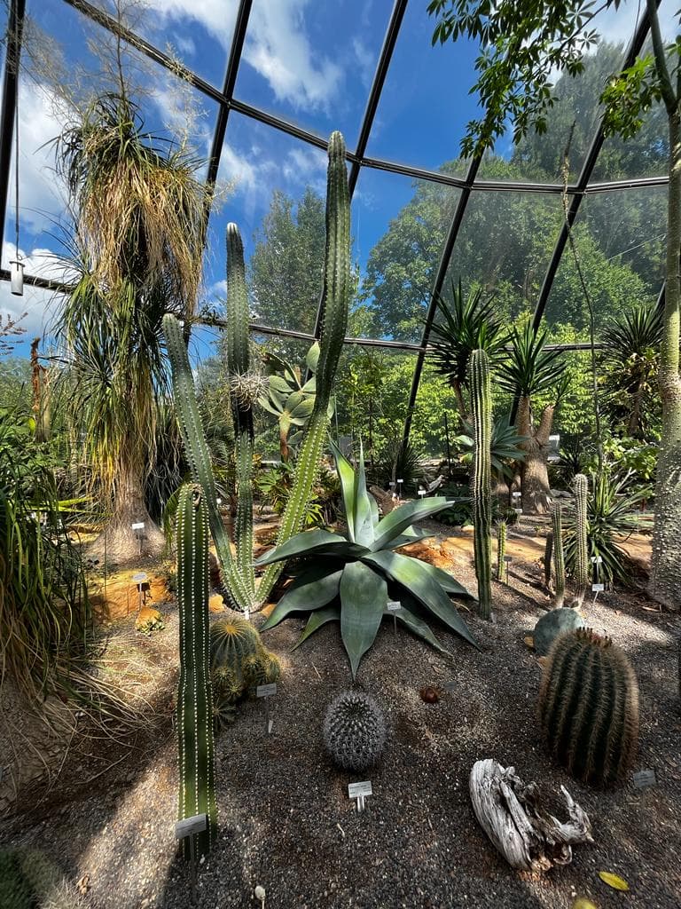 Botanical Garden thumbnail 3