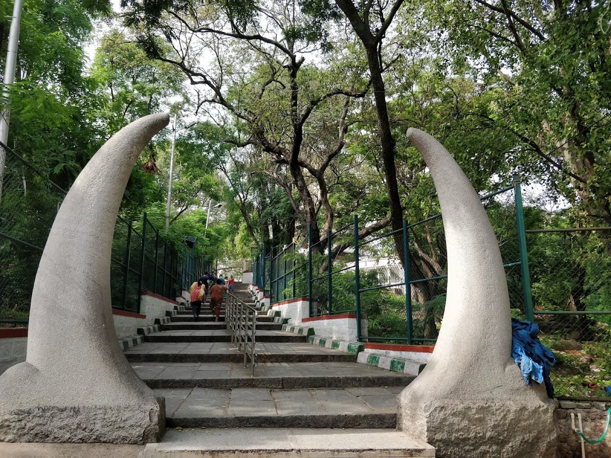 Bugle Rock Park thumbnail 2