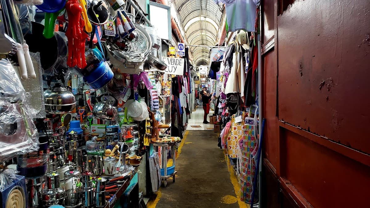 Magdalena market thumbnail 2