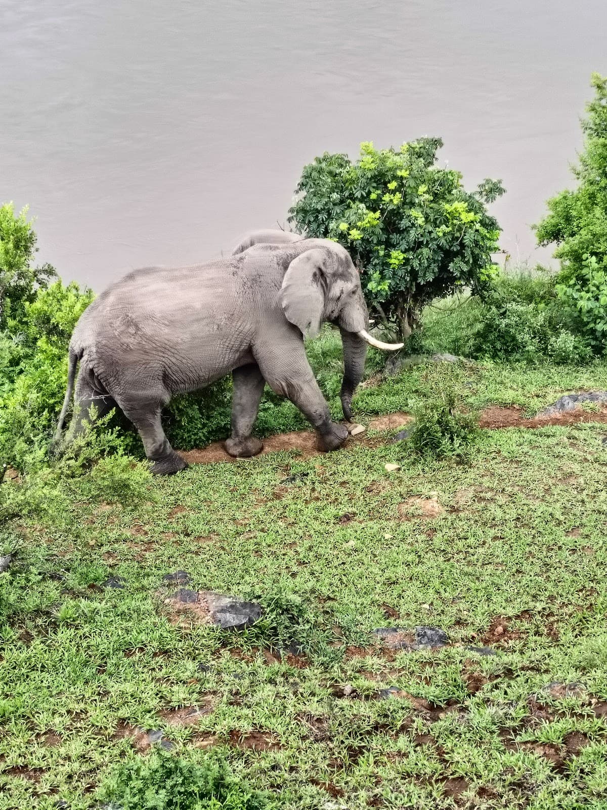 Malelane Gate @ Kruger National Park thumbnail 2