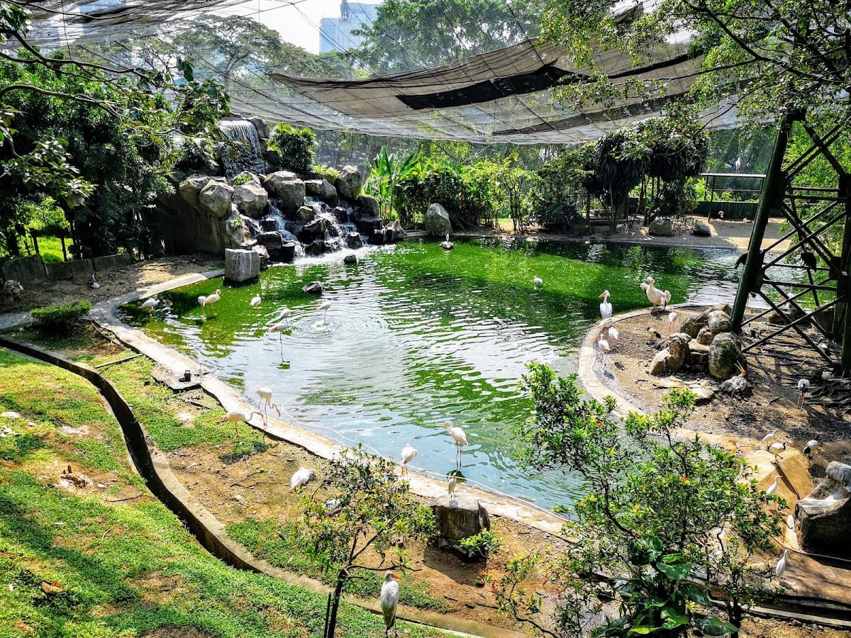 KL Bird Park photo 1