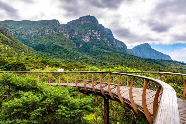 Kirstenbosch National Botanical Garden thumbnail 2