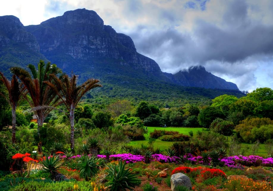 Kirstenbosch National Botanical Garden thumbnail 3