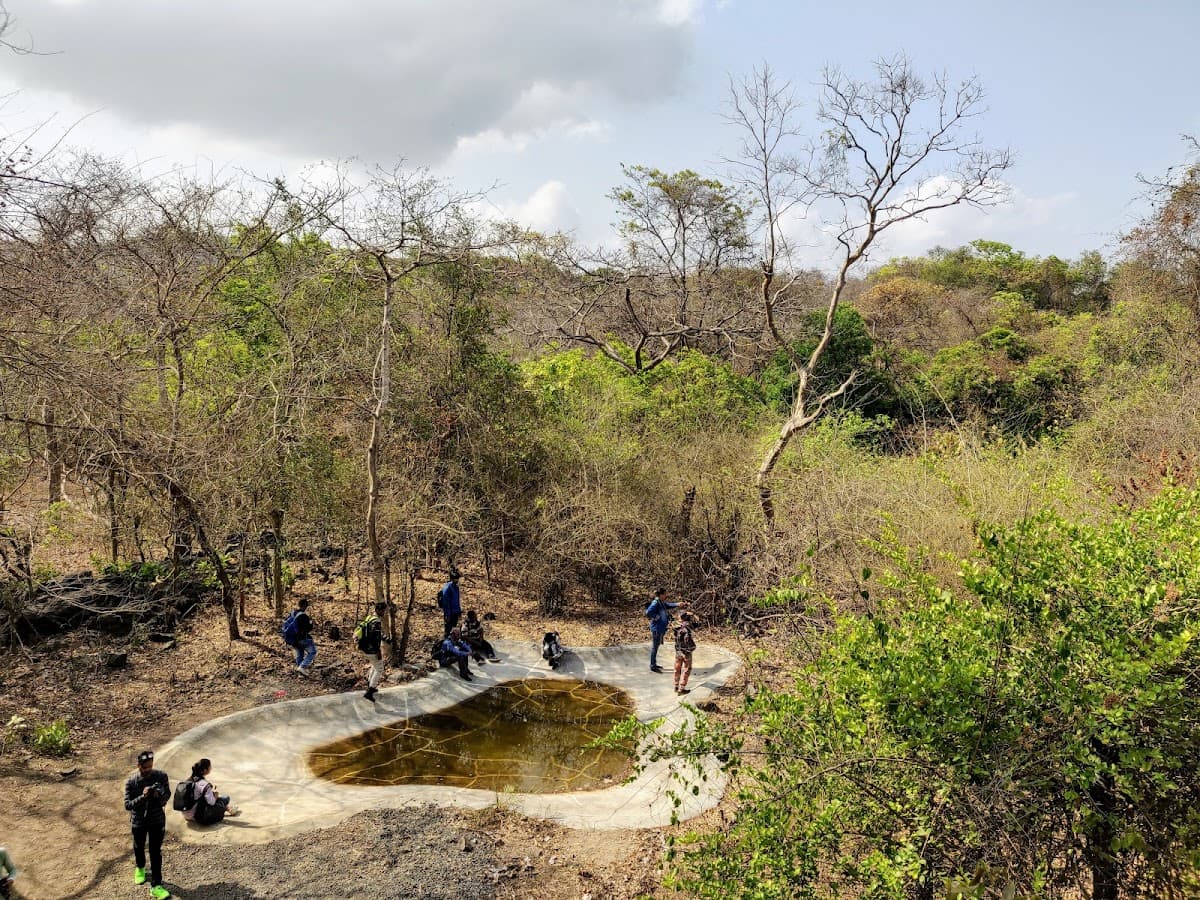 Sanjay Gandhi National Park 1