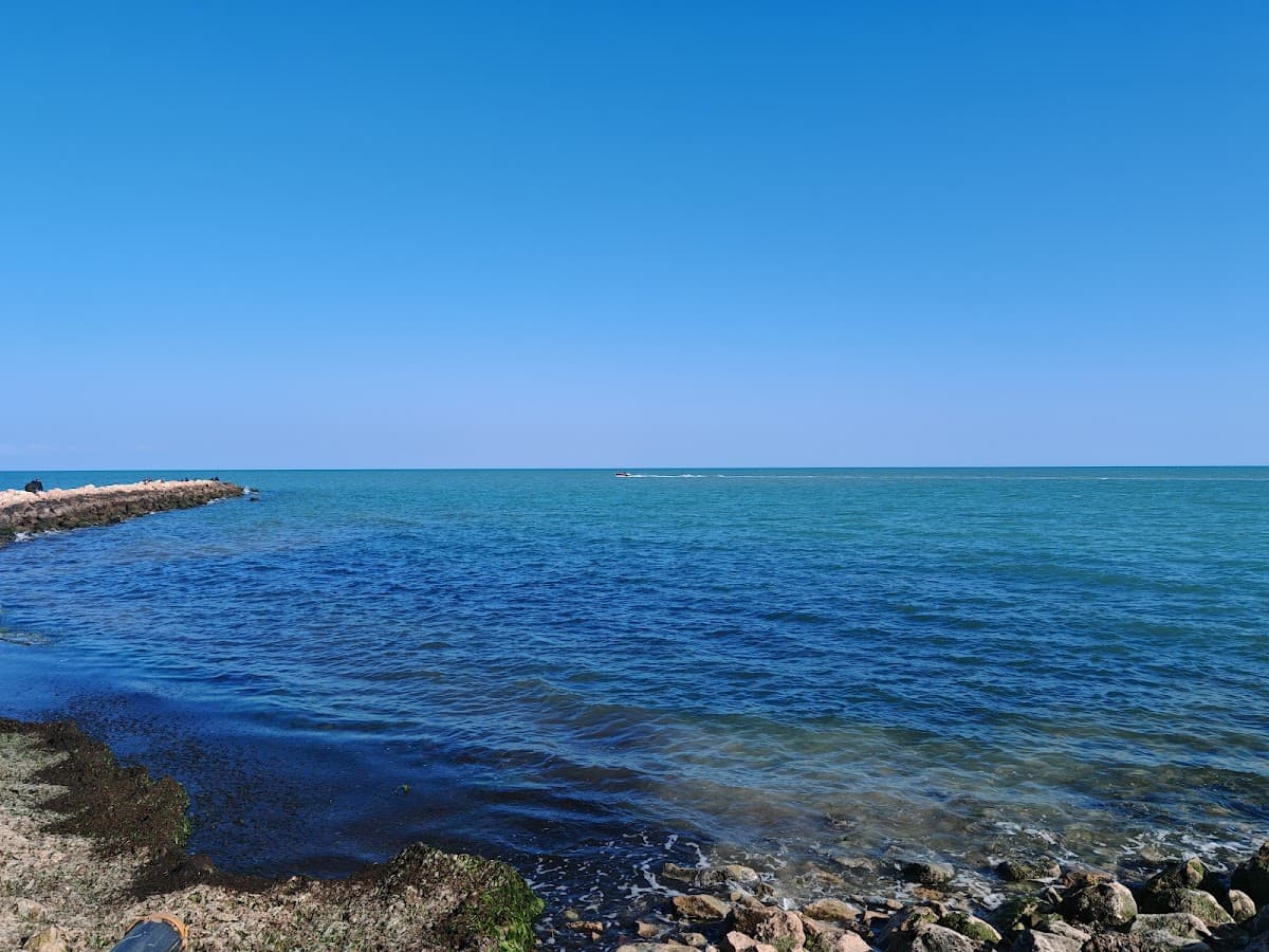 Pure ViewPoint 1 - Fallin' thumbnail 2