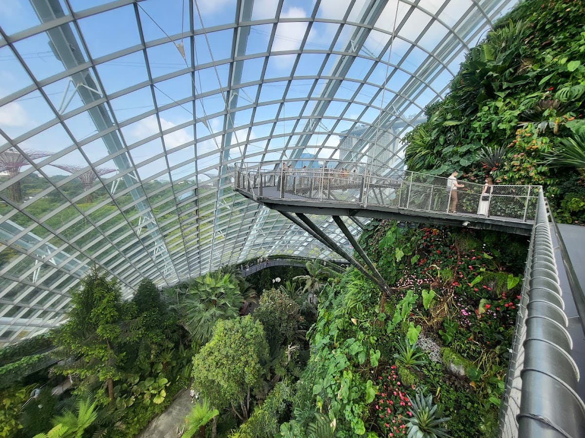 Cloud Forest thumbnail 2