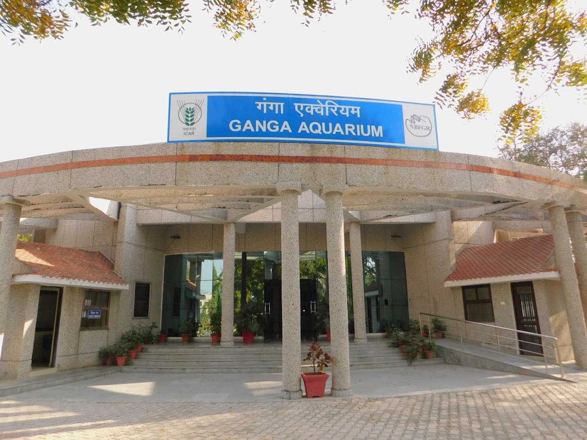 Ganga Aquarium thumbnail 3