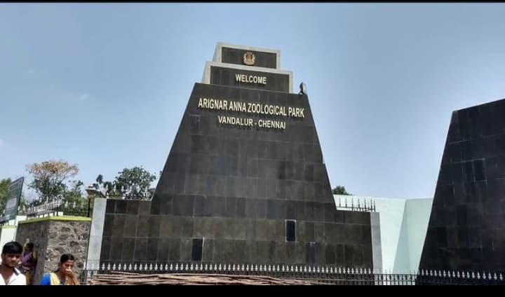 Arignar Anna Zoological Park 1