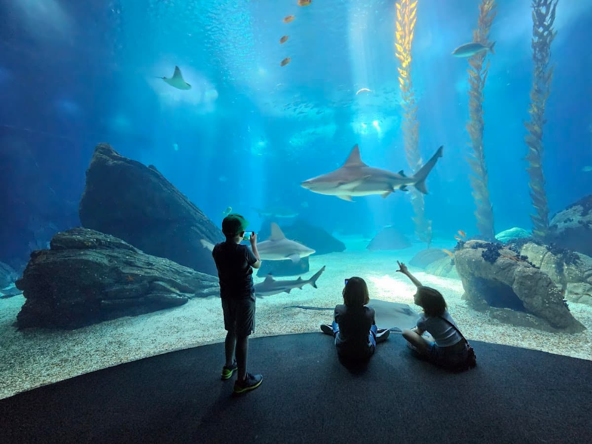 Oceanário de Lisboa thumbnail 2