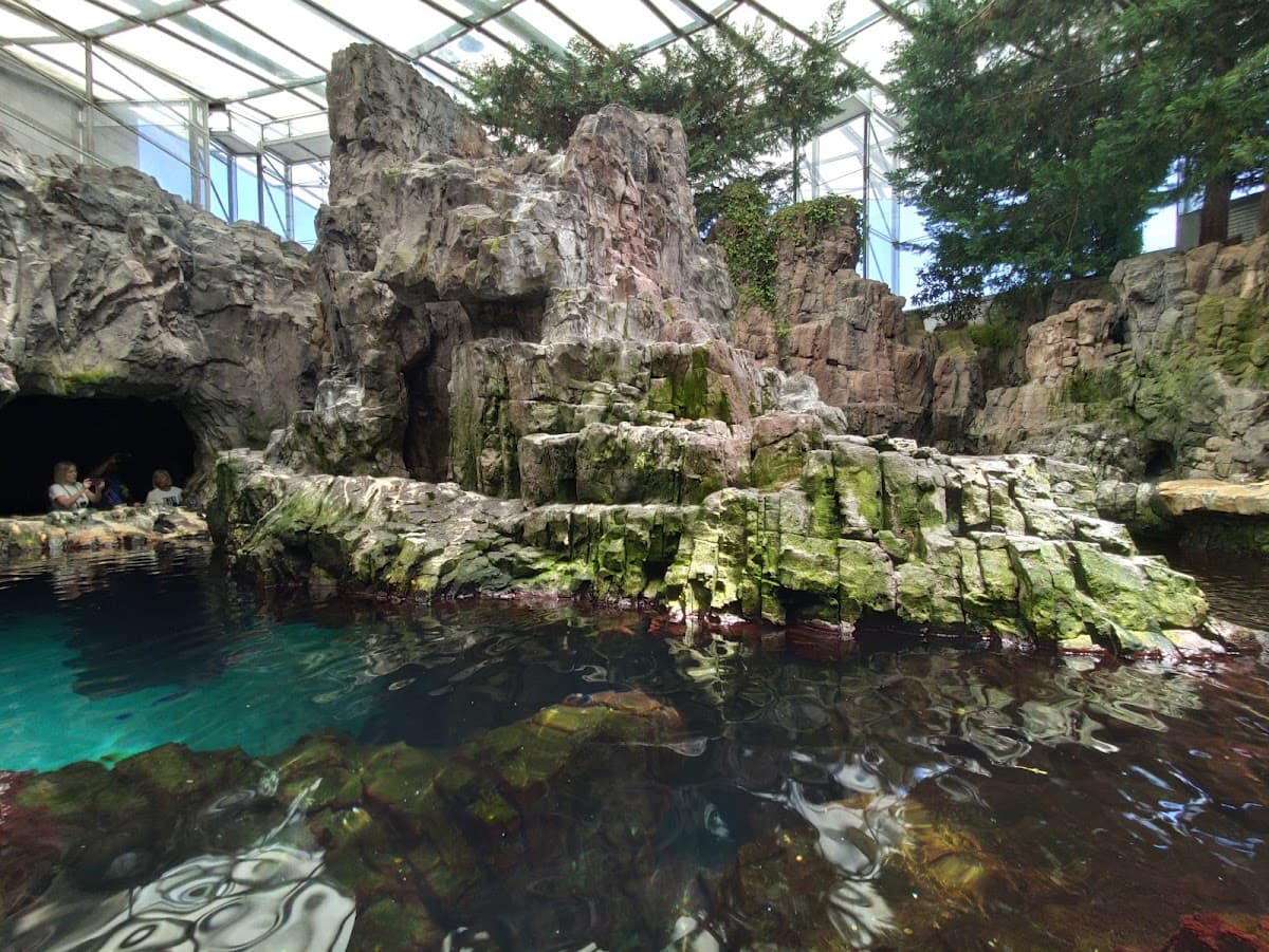 Oceanário de Lisboa thumbnail 3
