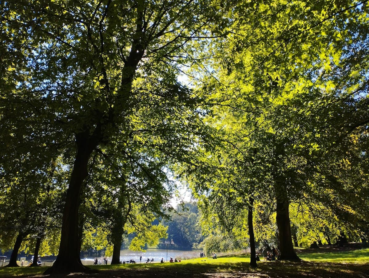Cambre Woods