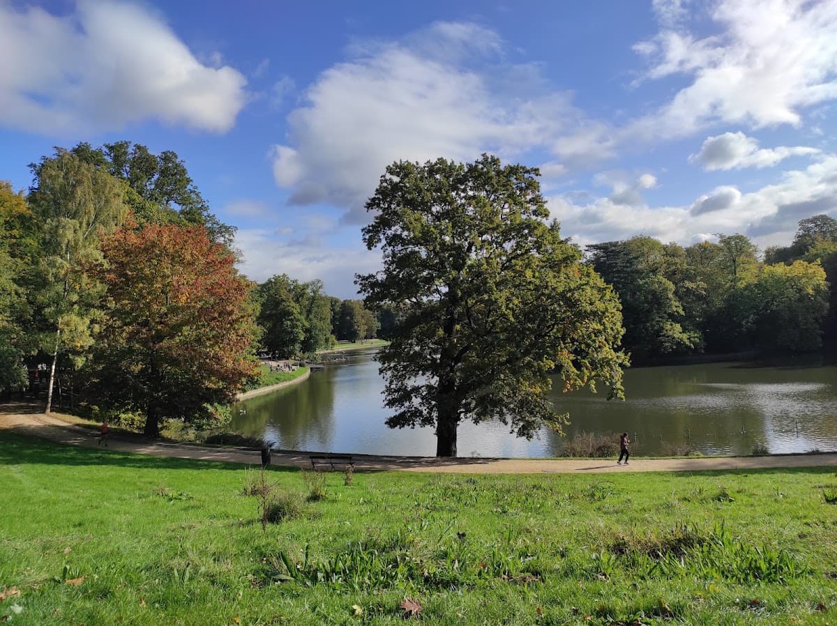 Cambre Woods thumbnail 3