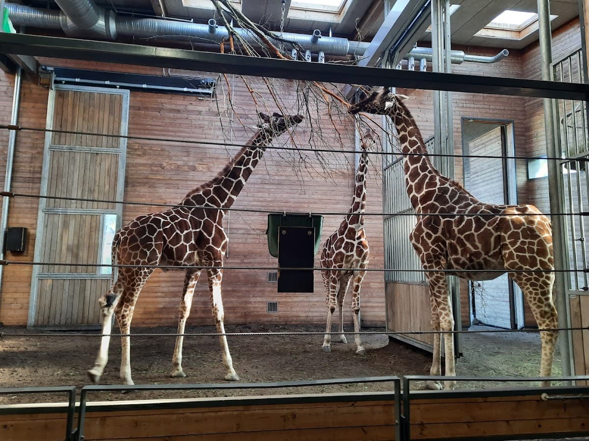 Copenhagen Zoo thumbnail 3