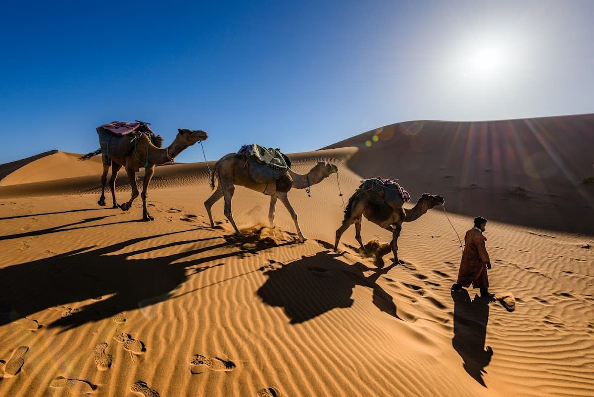 Tunisie Rêves thumbnail 3