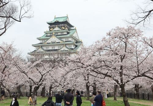 Osaka Castle Park thumbnail 2