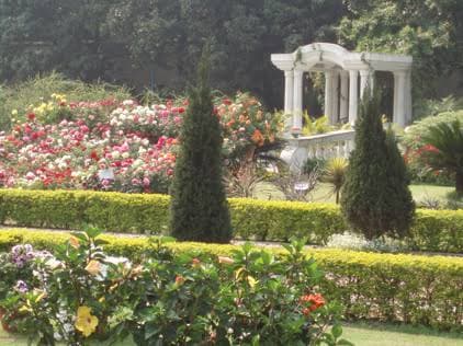 Mohar Kunja