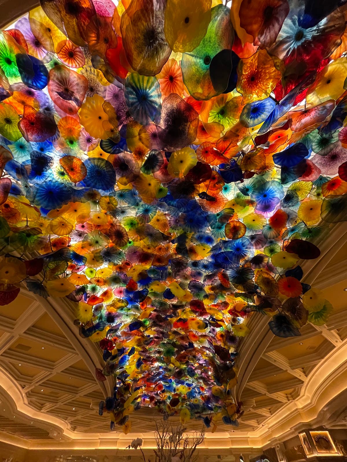 Fountains of Bellagio thumbnail 3