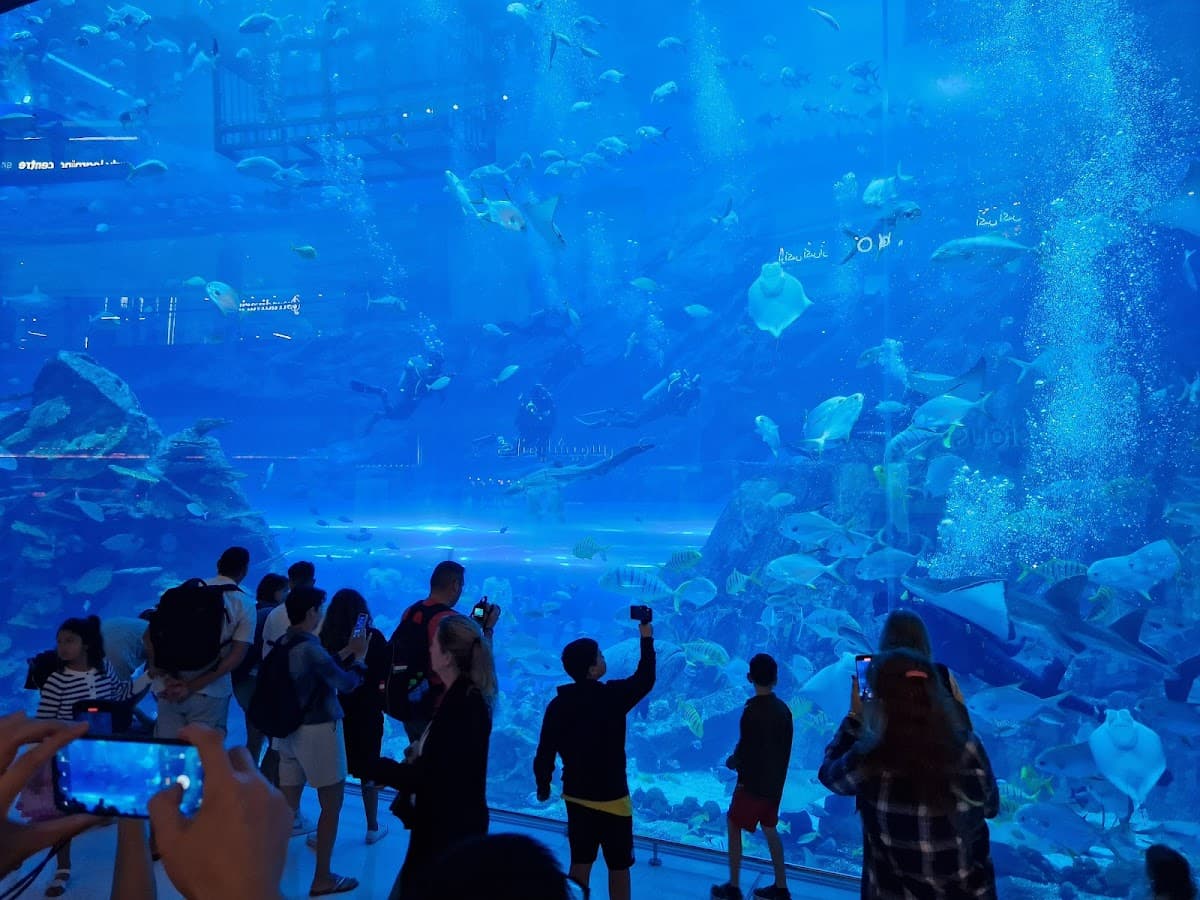 Dubai Aquarium & Underwater Zoo thumbnail 2