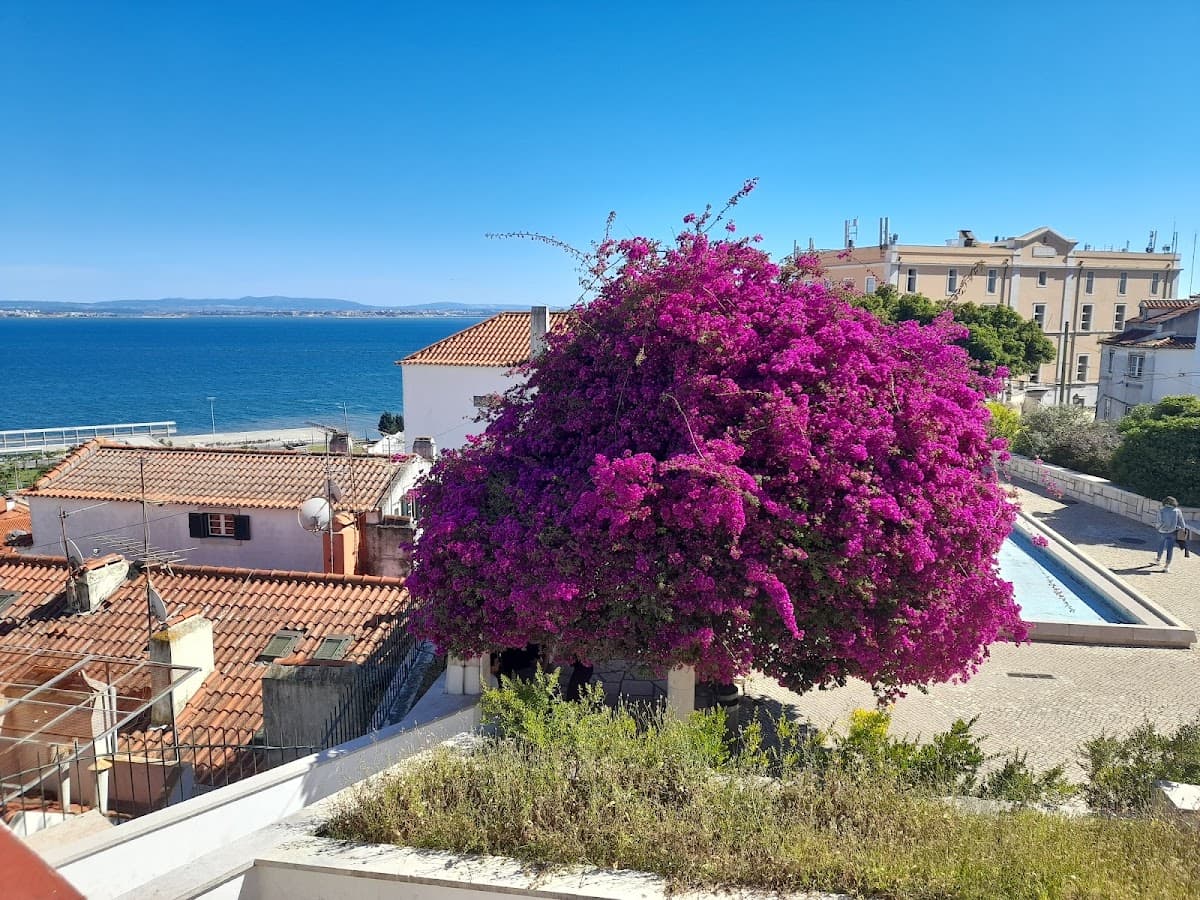 Miradouro de Santa Luzia thumbnail 3