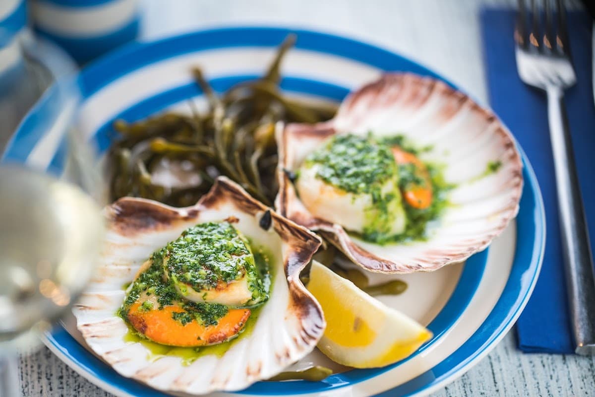 The Scallop Shell thumbnail 2