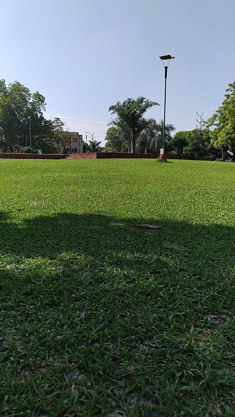 Shree Mohanlal Sukhadiya Memorial Foundation Park thumbnail 3