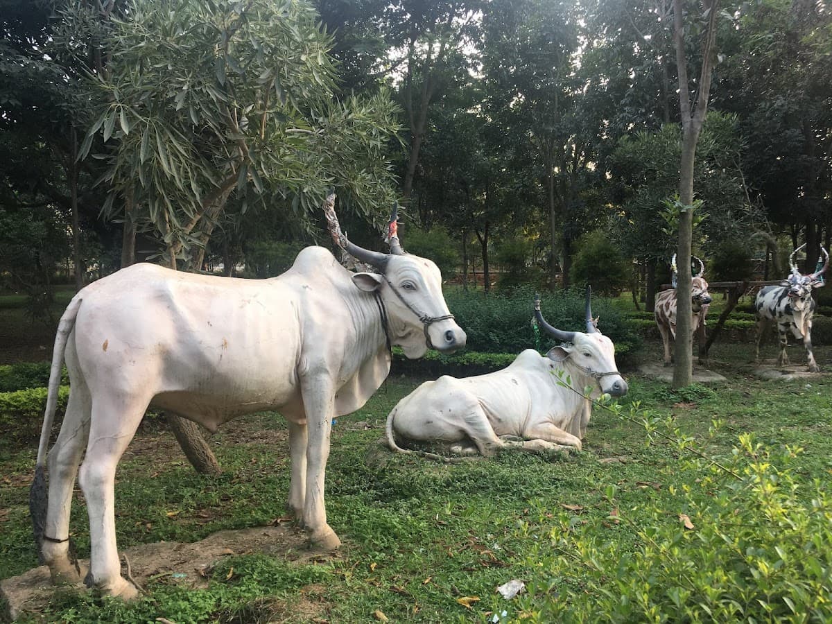Jaya Prakash Narayana Park thumbnail 2