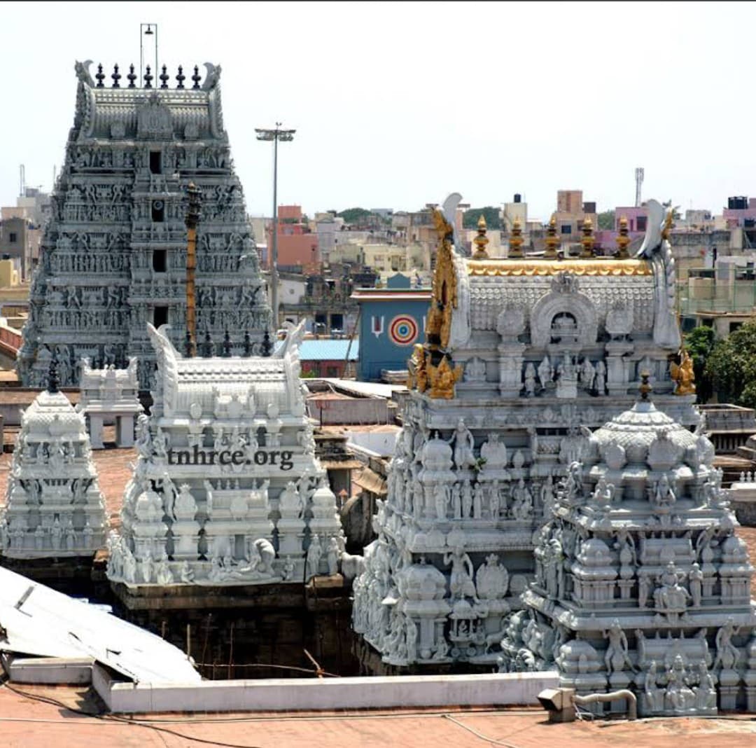Arulmigu Sri Parthasarathyswamy Temple thumbnail 3