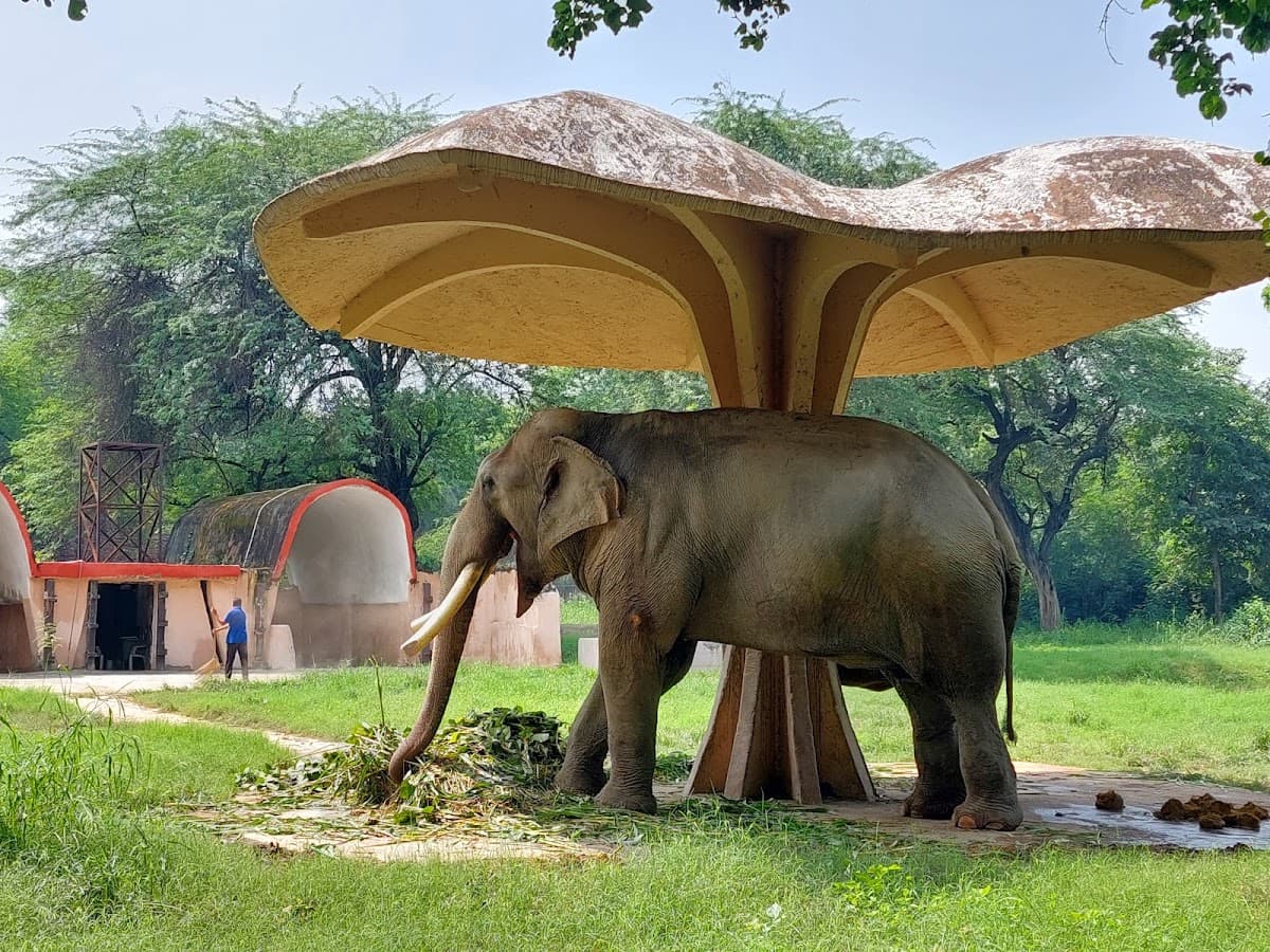 National Zoological Park, Delhi thumbnail 2