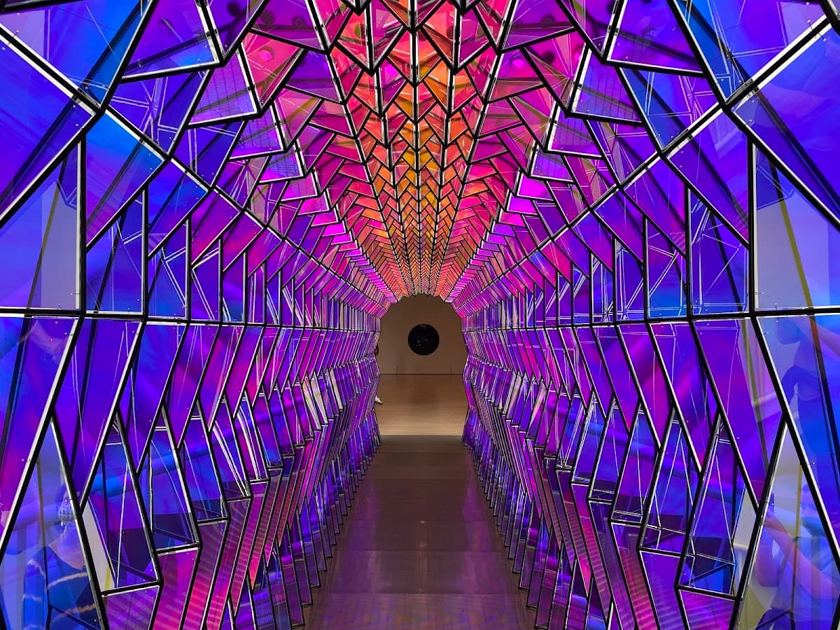 San Francisco Museum of Modern Art thumbnail 3