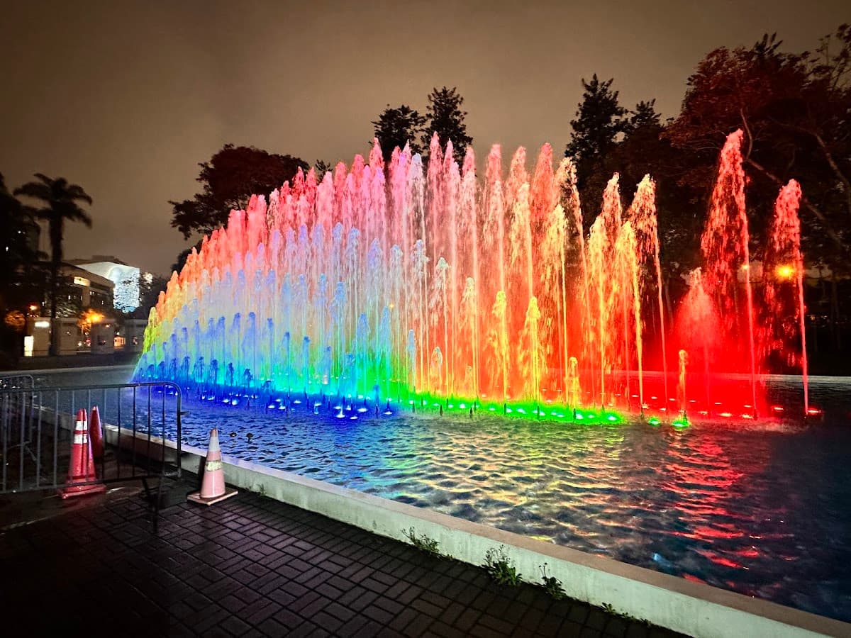 Magic Water Circuit of the Reserve Park