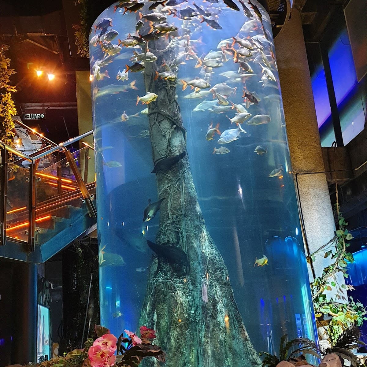 Aquaria KLCC photo 1