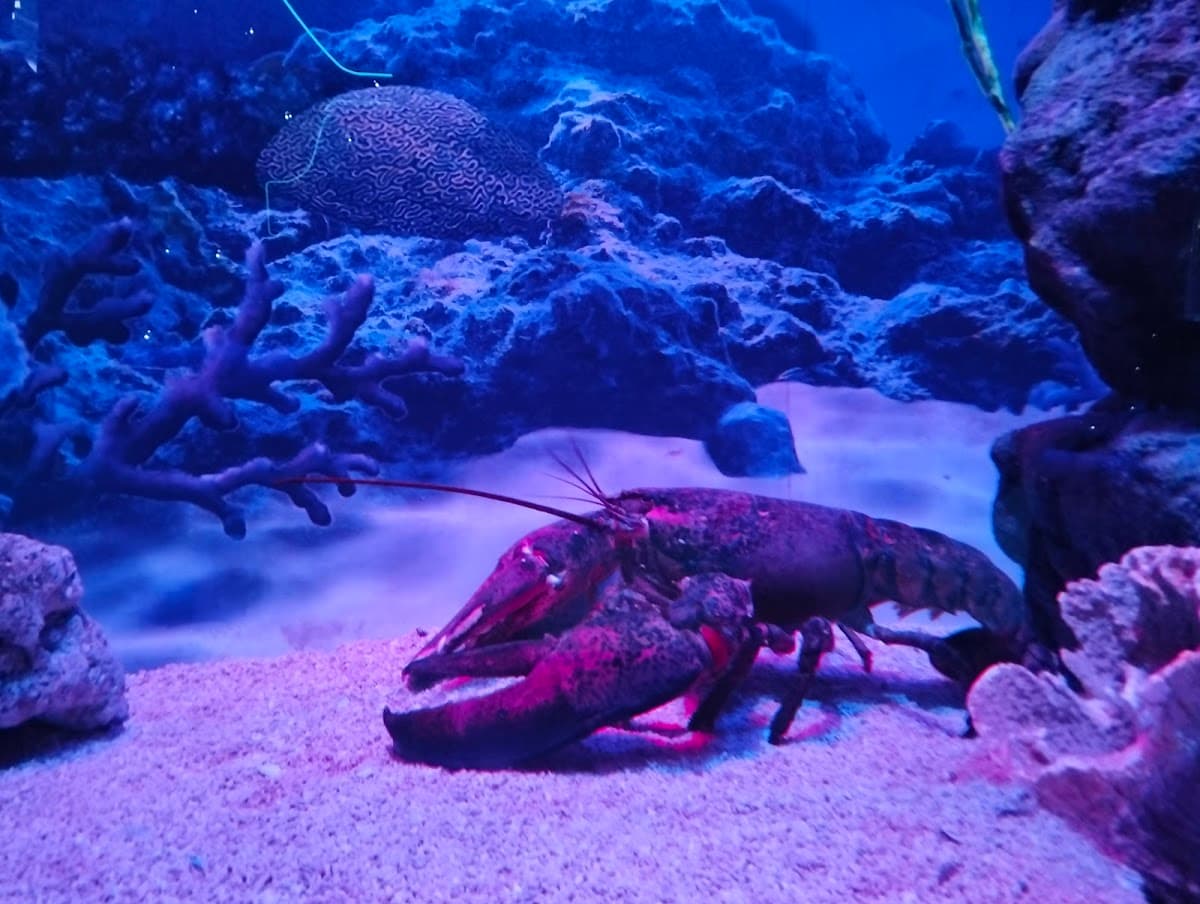 Aquaria KLCC thumbnail 2