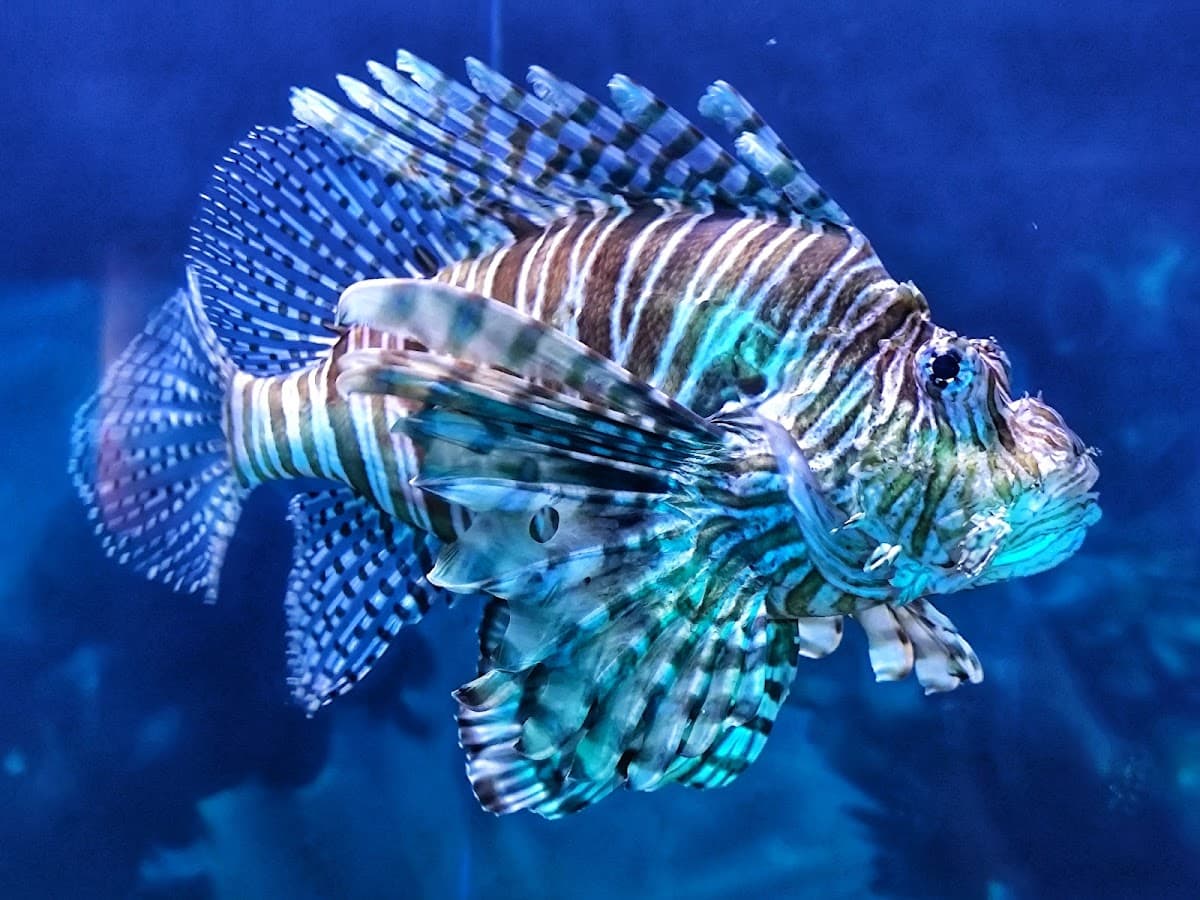 Aquaria KLCC thumbnail 3